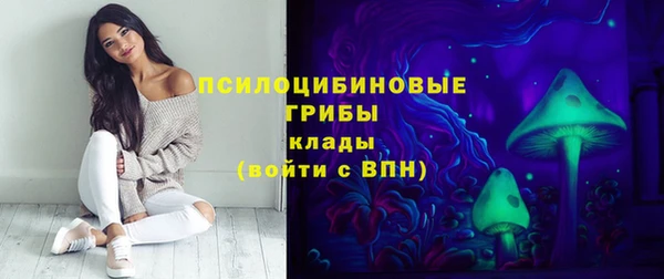 стафф Аркадак