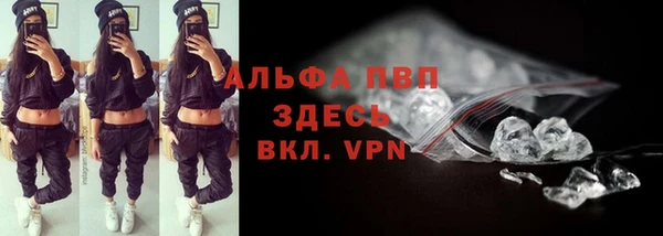 стафф Аркадак
