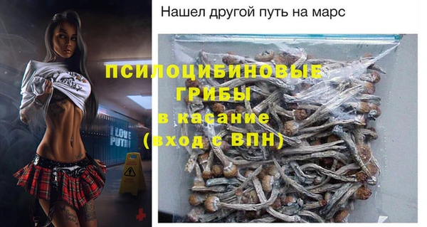 гашик Армянск