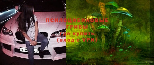 стафф Аркадак